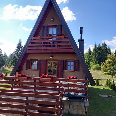 Mountain House Tadic 1 Villa Bajina Basta Exterior photo