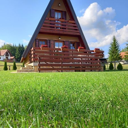 Mountain House Tadic 1 Villa Bajina Basta Exterior photo