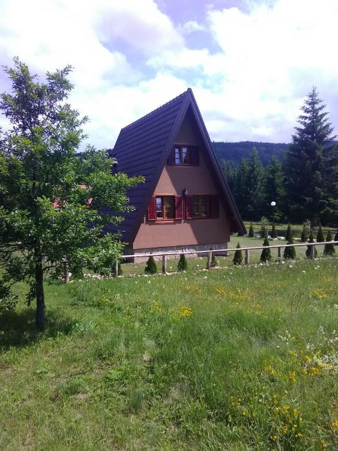 Mountain House Tadic 1 Villa Bajina Basta Exterior photo
