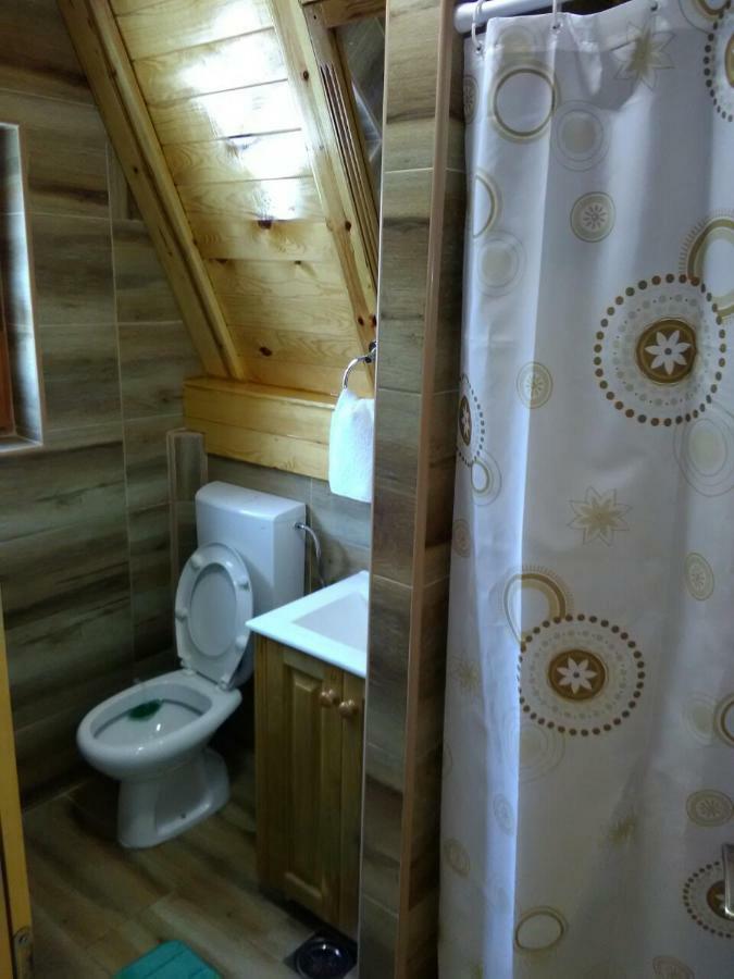 Mountain House Tadic 1 Villa Bajina Basta Exterior photo