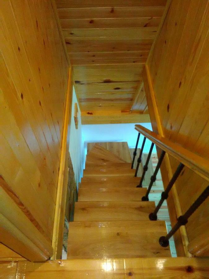 Mountain House Tadic 1 Villa Bajina Basta Exterior photo