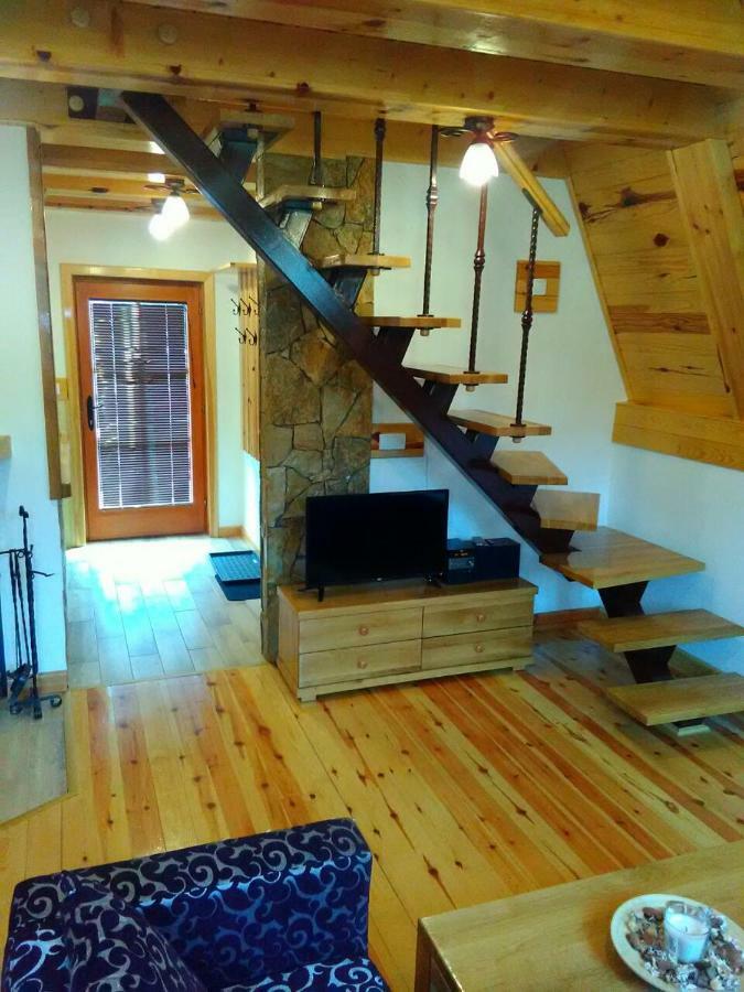 Mountain House Tadic 1 Villa Bajina Basta Exterior photo