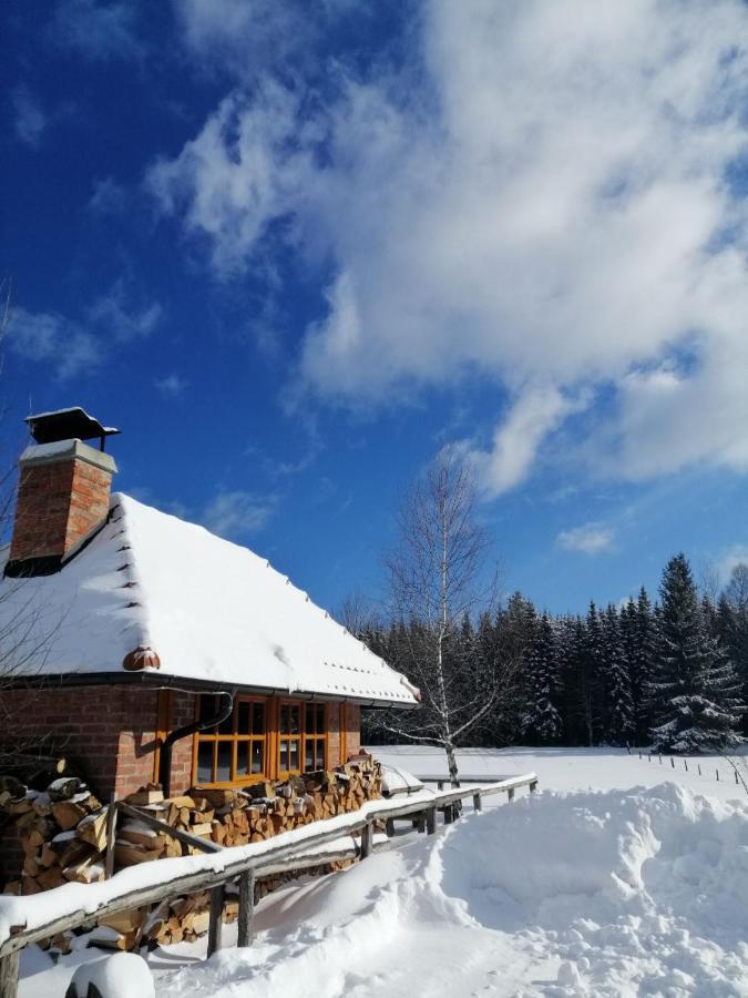 Mountain House Tadic 1 Villa Bajina Basta Exterior photo